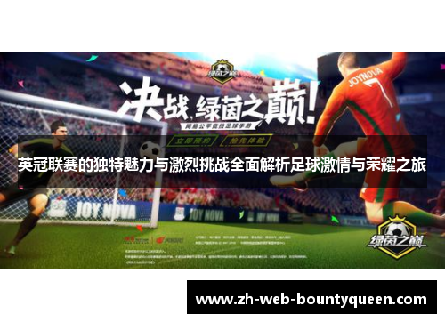 英冠联赛的独特魅力与激烈挑战全面解析足球激情与荣耀之旅