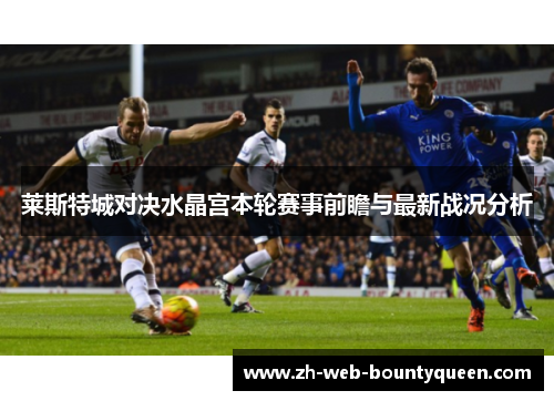 莱斯特城对决水晶宫本轮赛事前瞻与最新战况分析