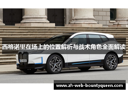 西格诺里在场上的位置解析与战术角色全面解读 西格诺里在场上的位置解析与战术角色全面解读