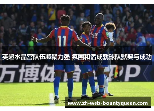 英超水晶宫队伍凝聚力强 氛围和谐成就球队默契与成功