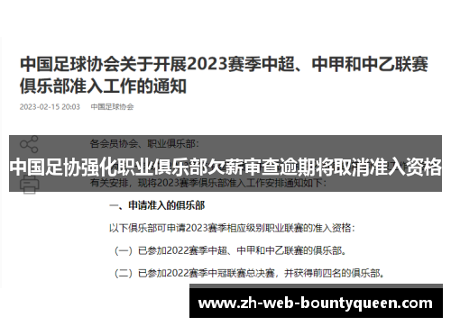 中国足协强化职业俱乐部欠薪审查逾期将取消准入资格 中国足协强化职业俱乐部欠薪审查逾期将取消准入资格